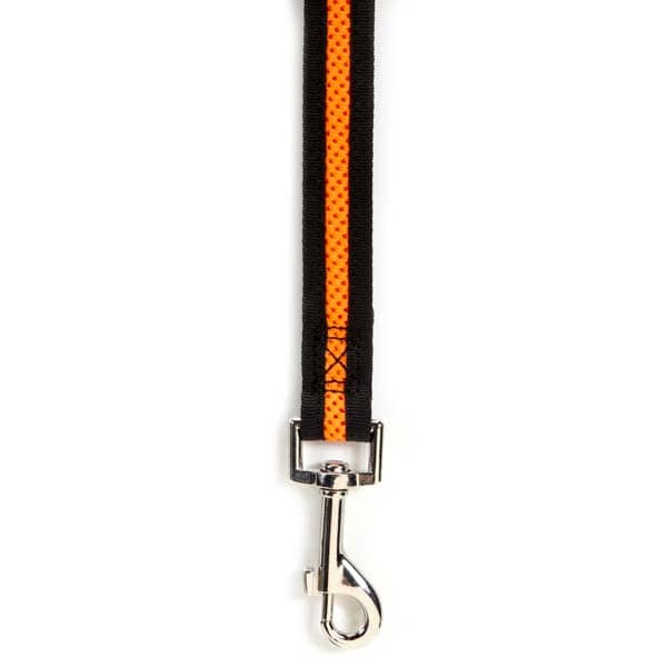 ZA892 45 69 ZA006 Casual Canine Dog Lead Orange